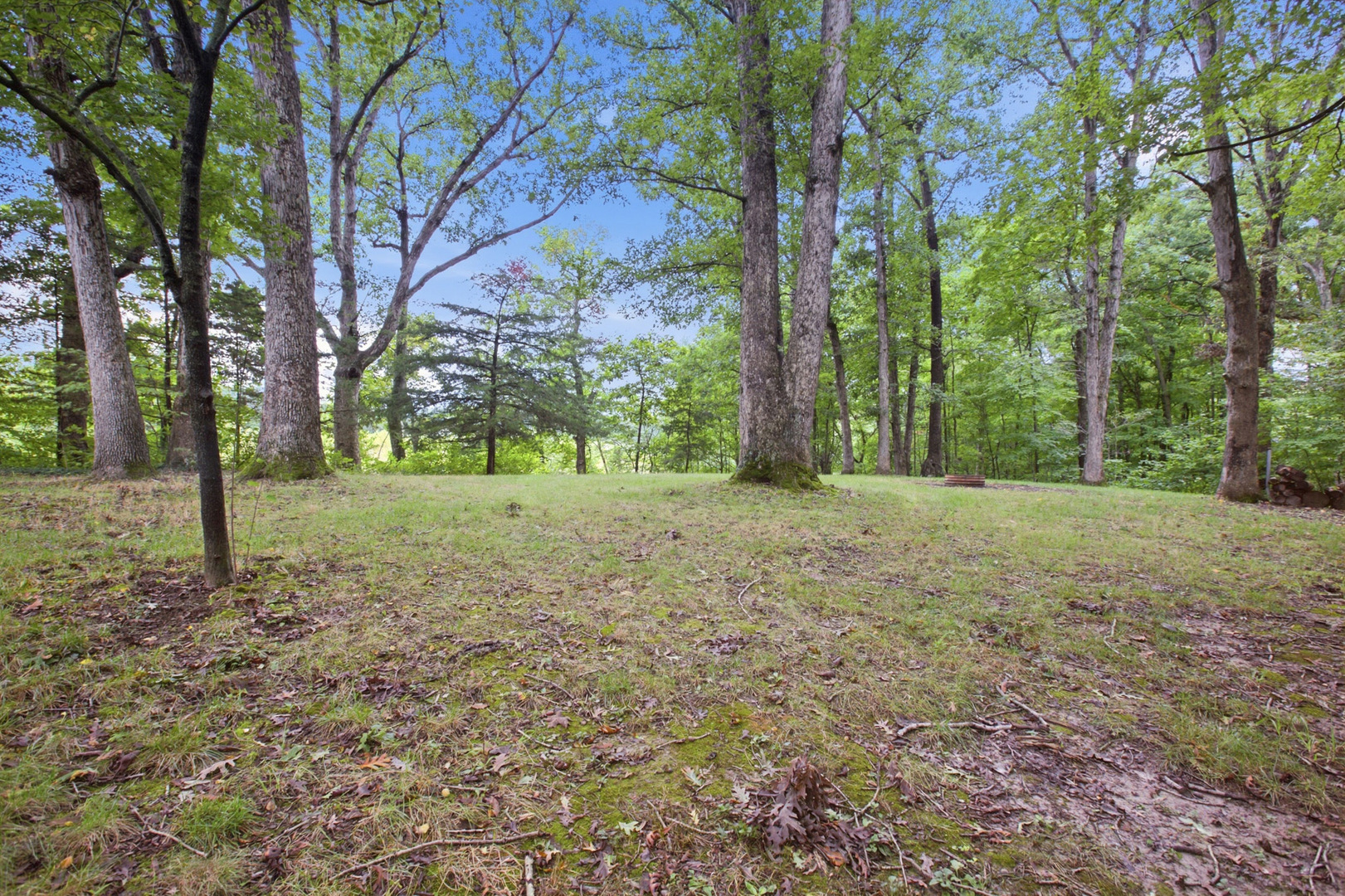 Property photo 34