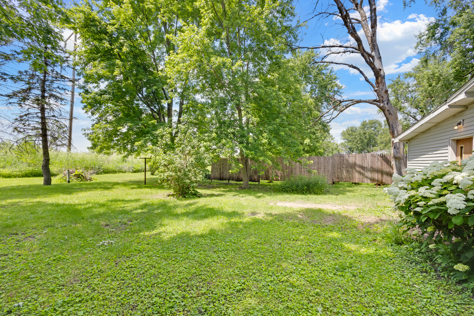 Property photo 19