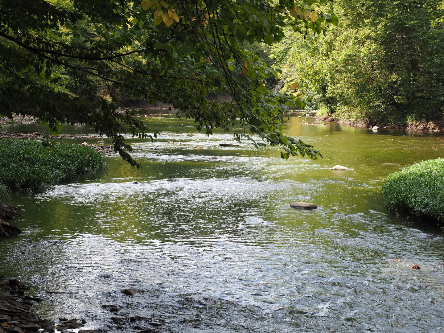 Property photo 43