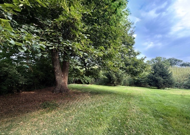 Property photo 43