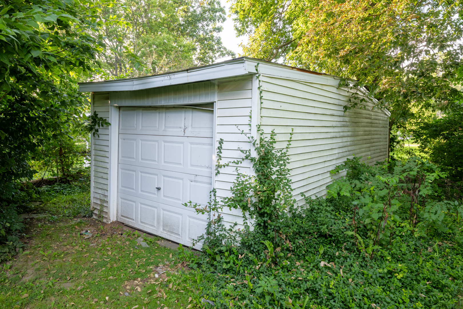 Property photo 57