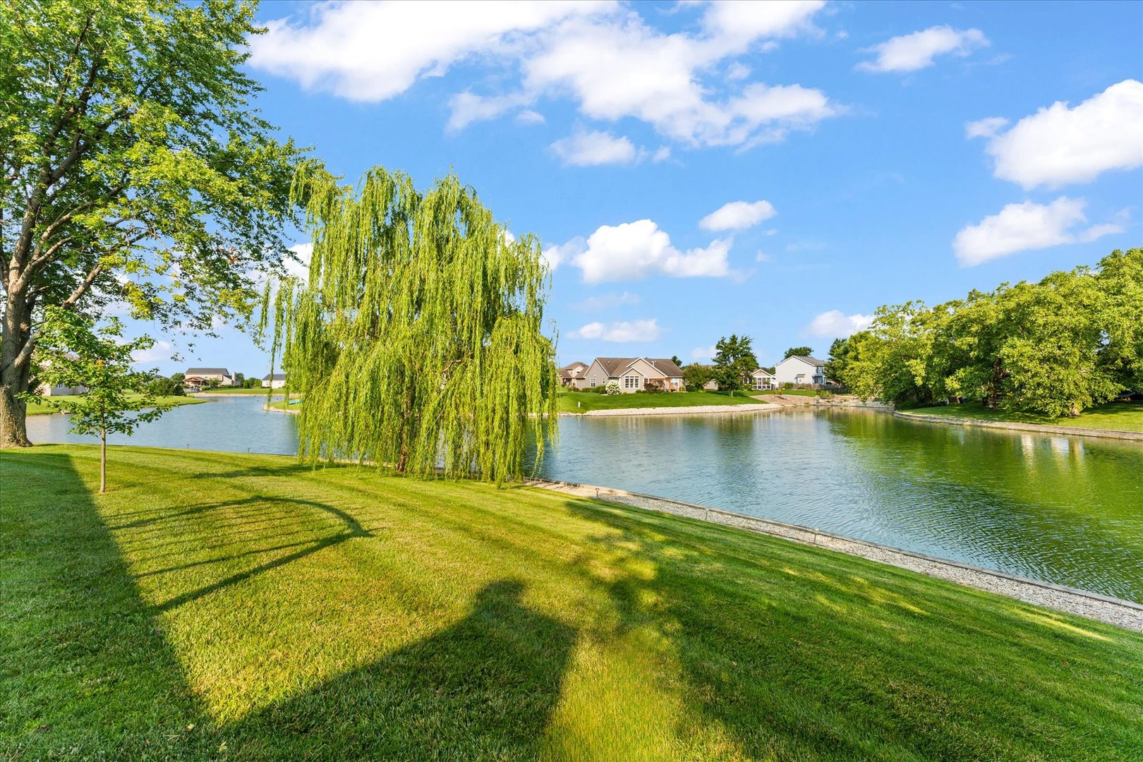 Property photo 49