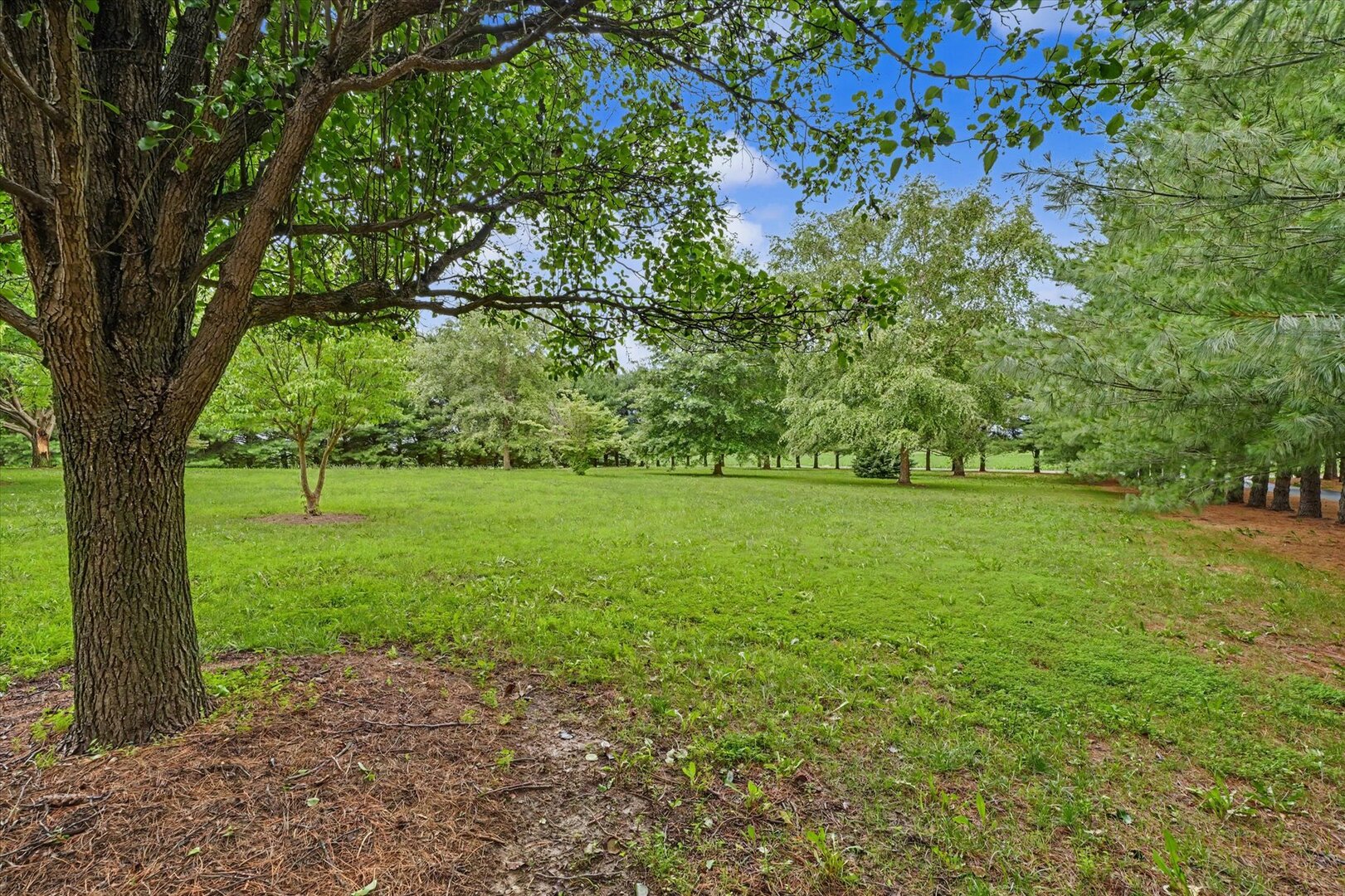 Property photo 69