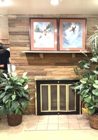 Basement Fireplace  - wood burning