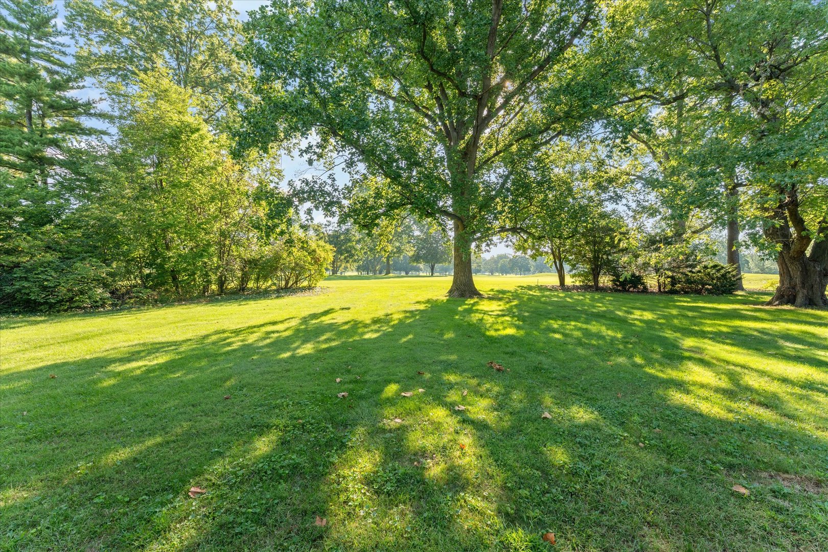 Property photo 47