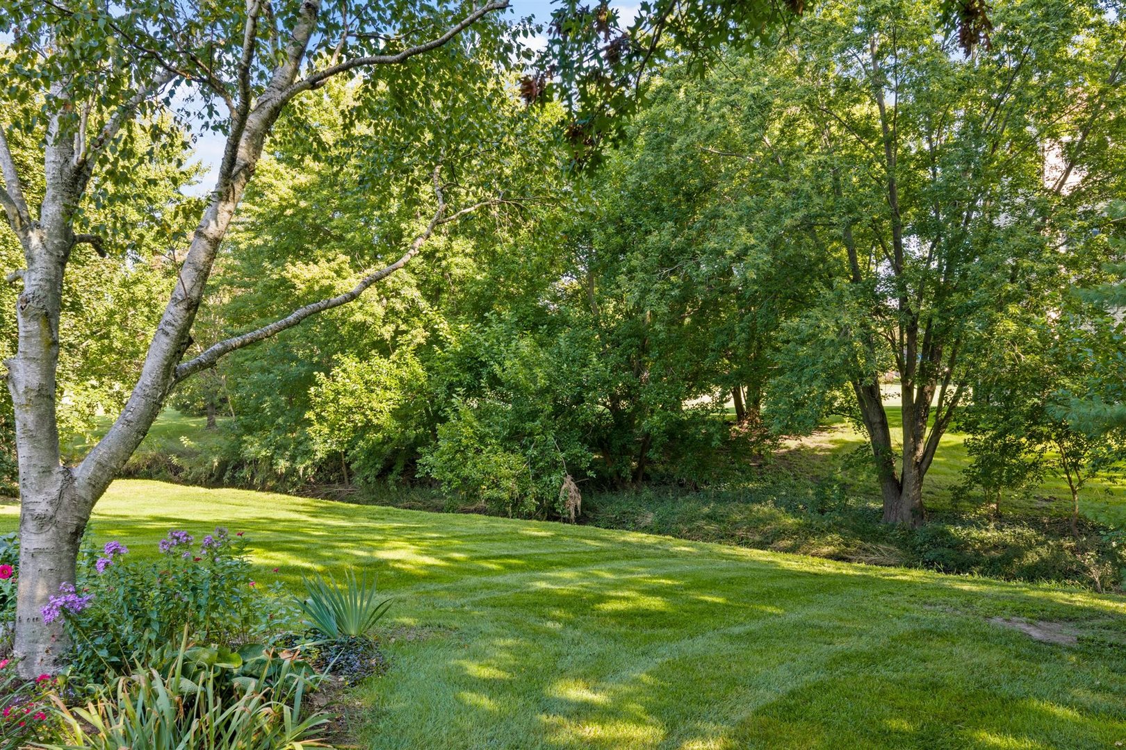 Property photo 45