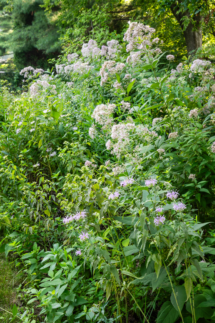 Property photo 39