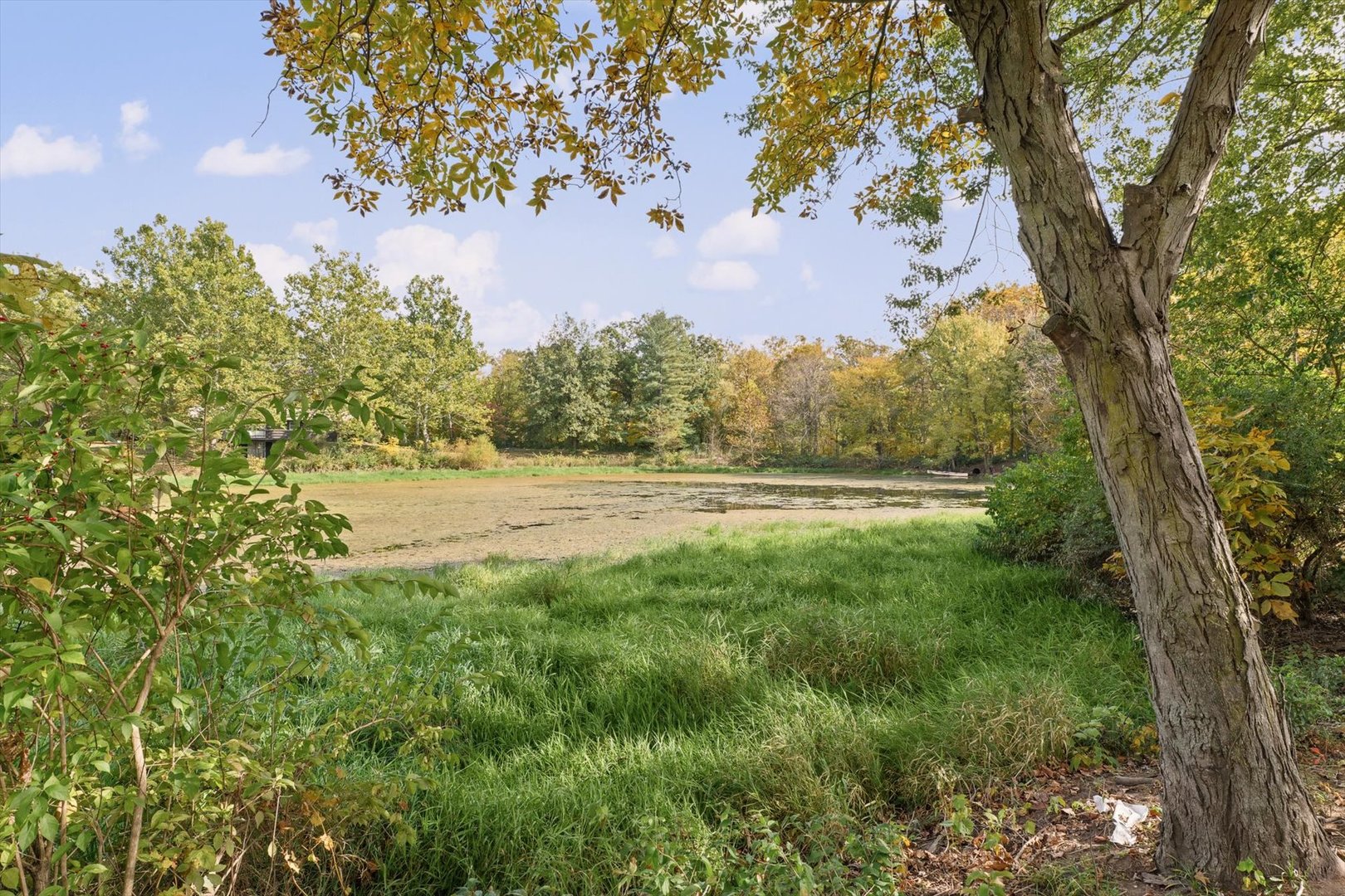 Property photo 43