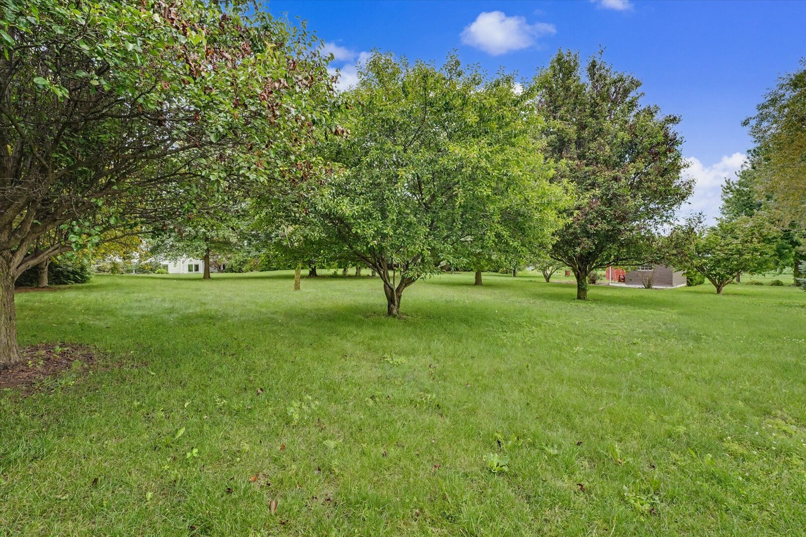 Property photo 65