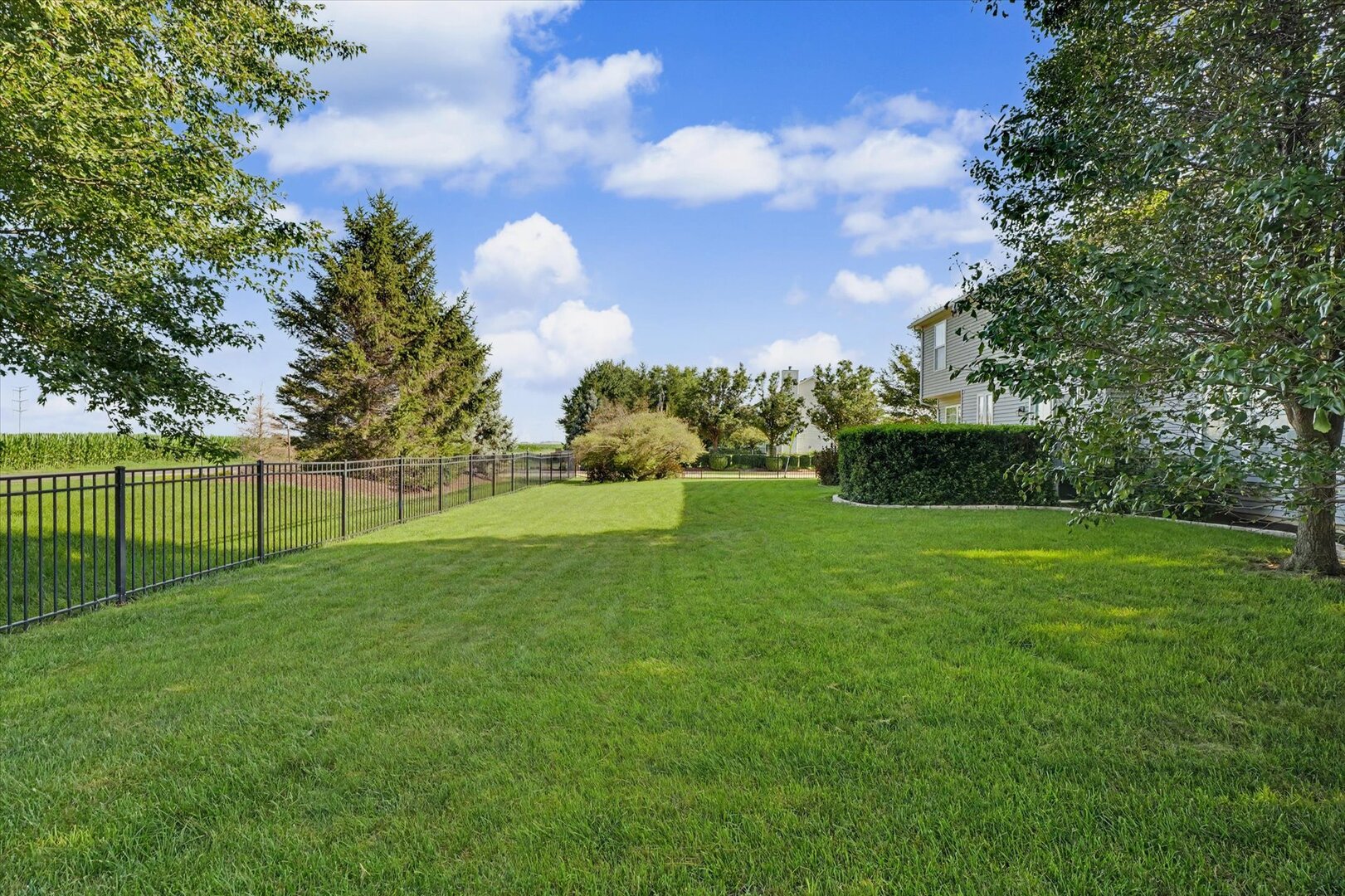 Property photo 66