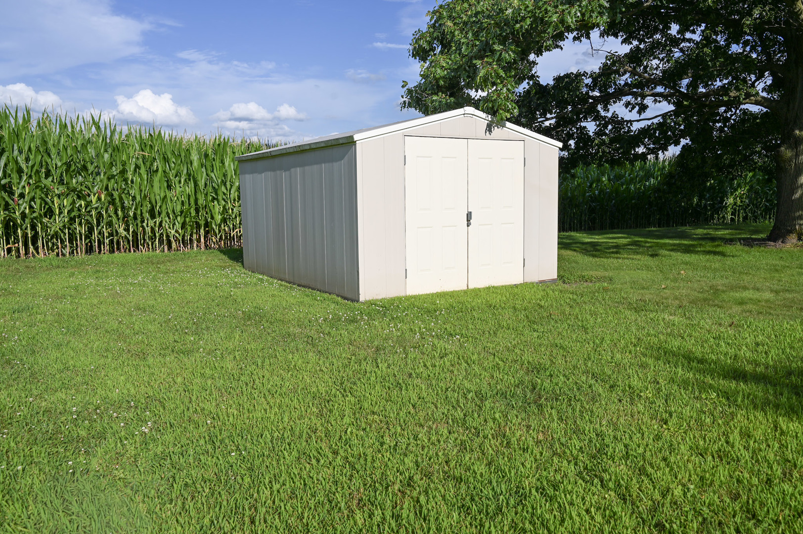 Property photo 66