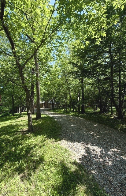 Property photo 94