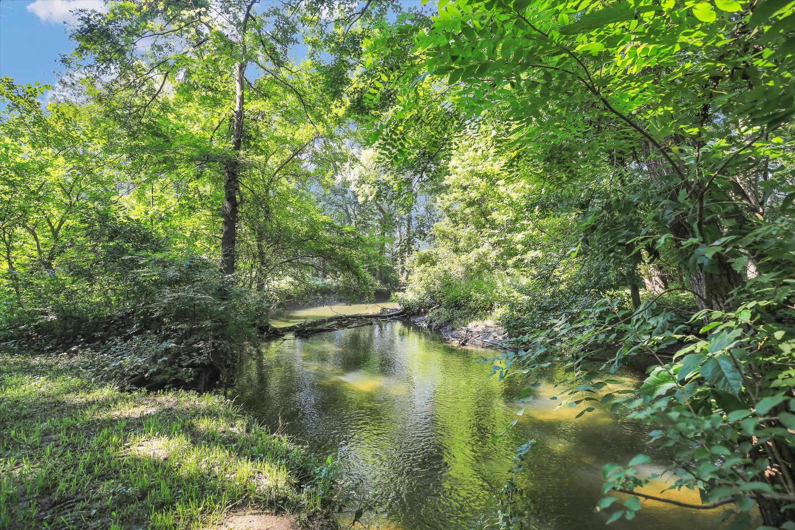 Property photo 61
