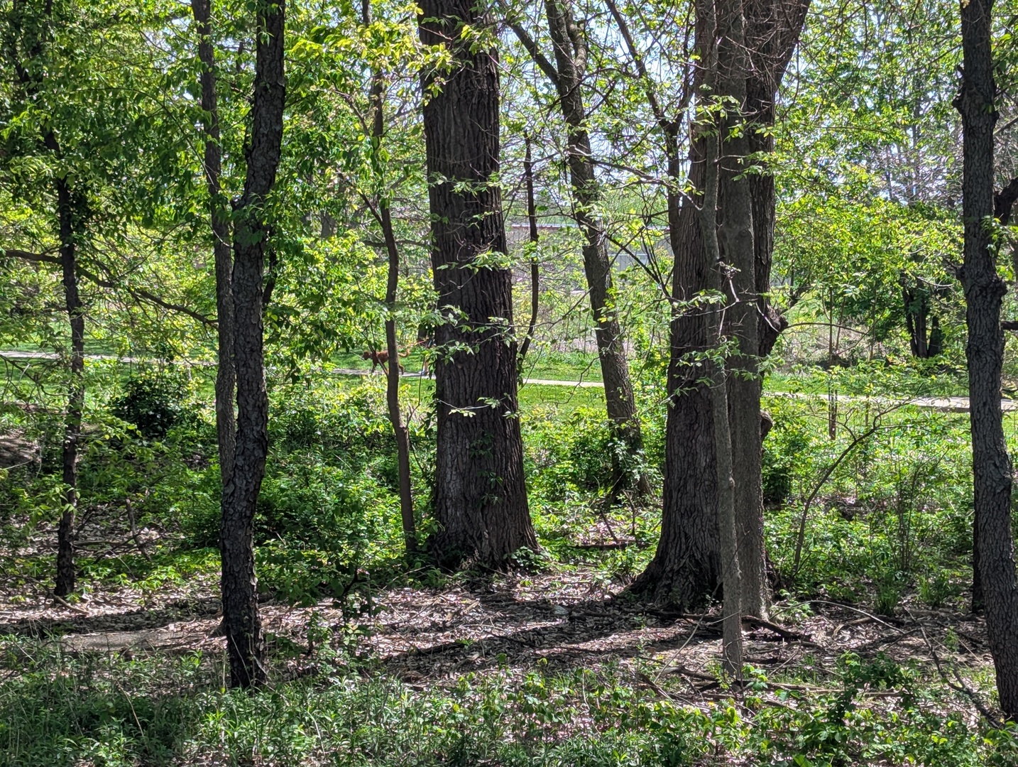 Property photo 27