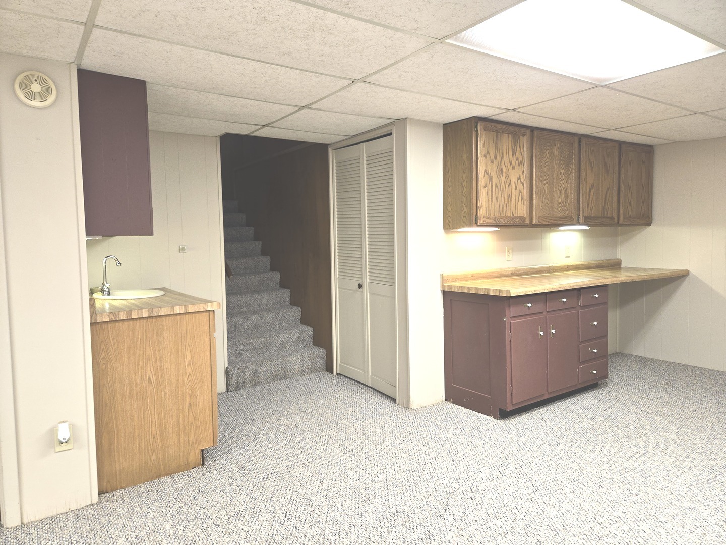 Basement Family Room