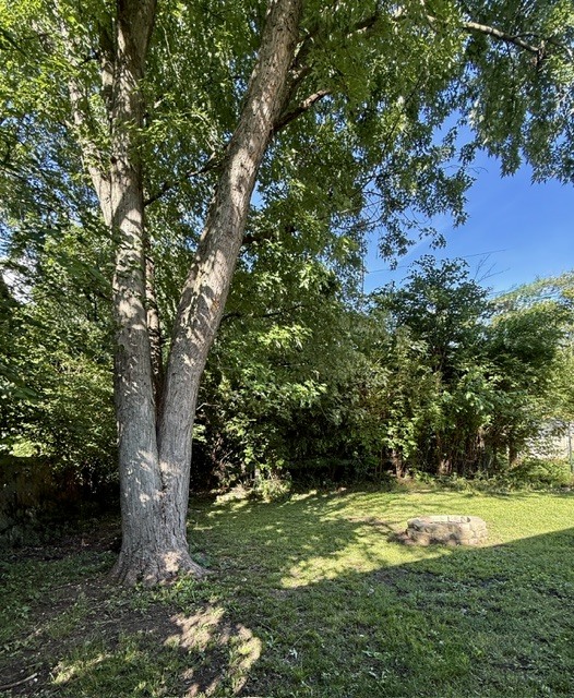 Property photo 59