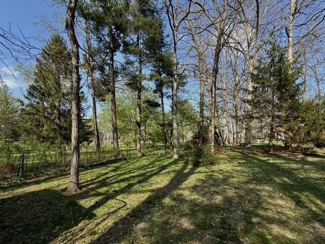 Property photo 170