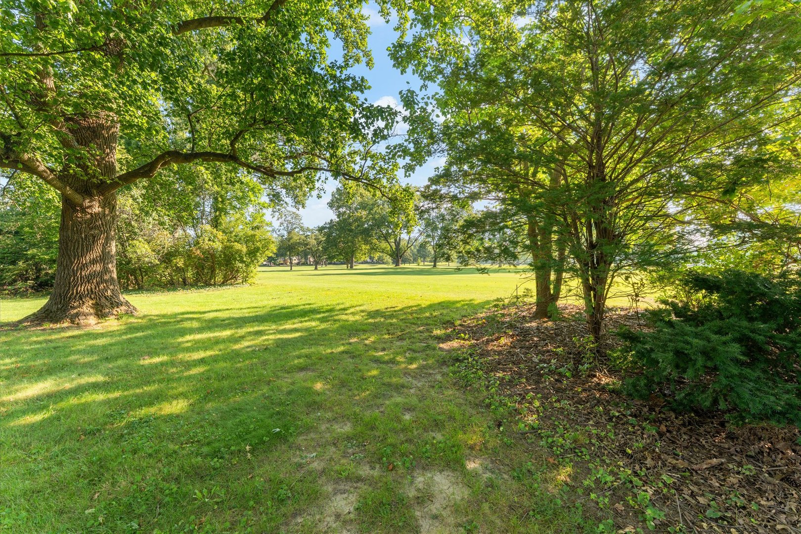 Property photo 50