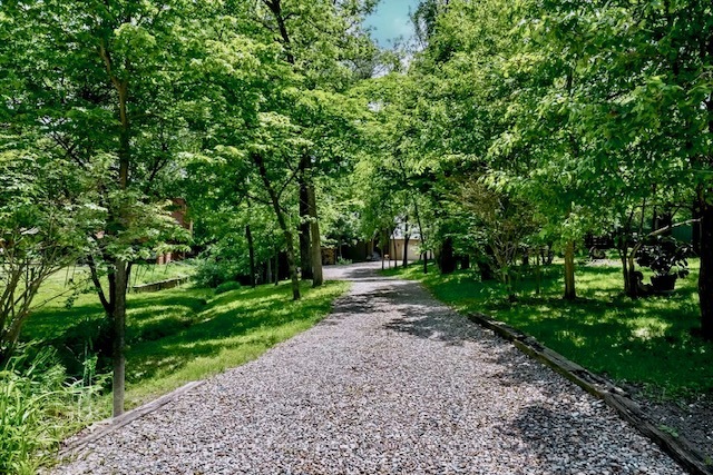 Property photo 95