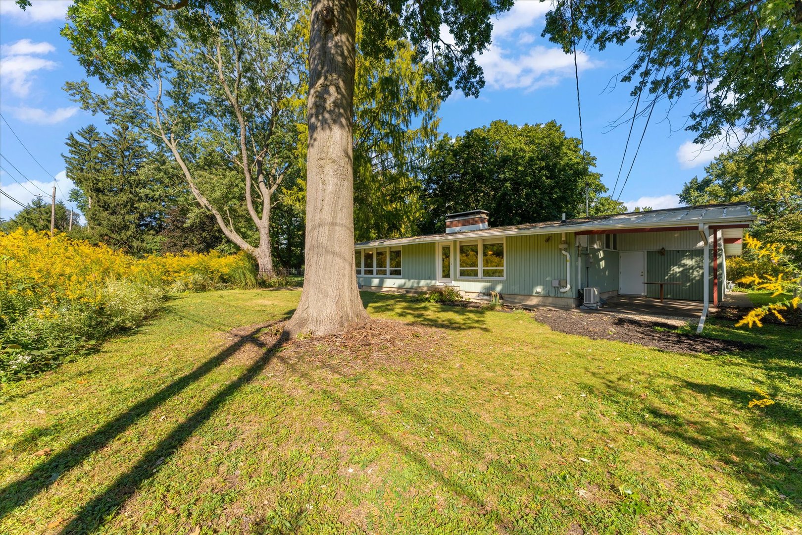 Property photo 44