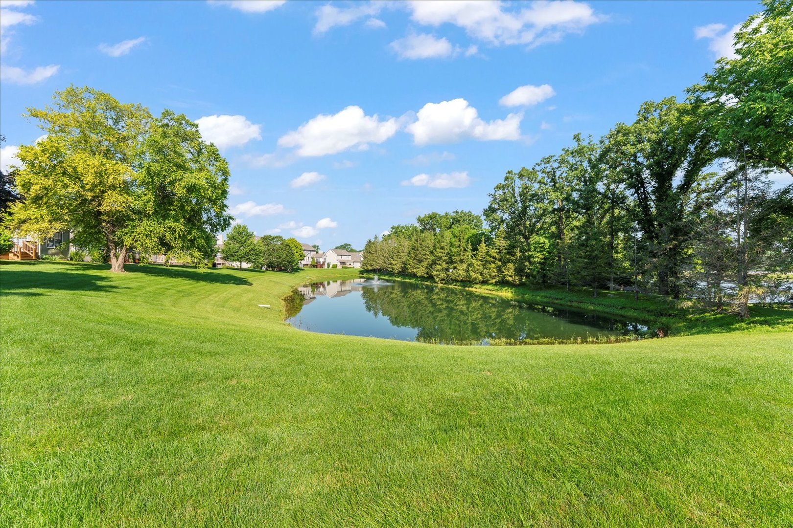 Property photo 46