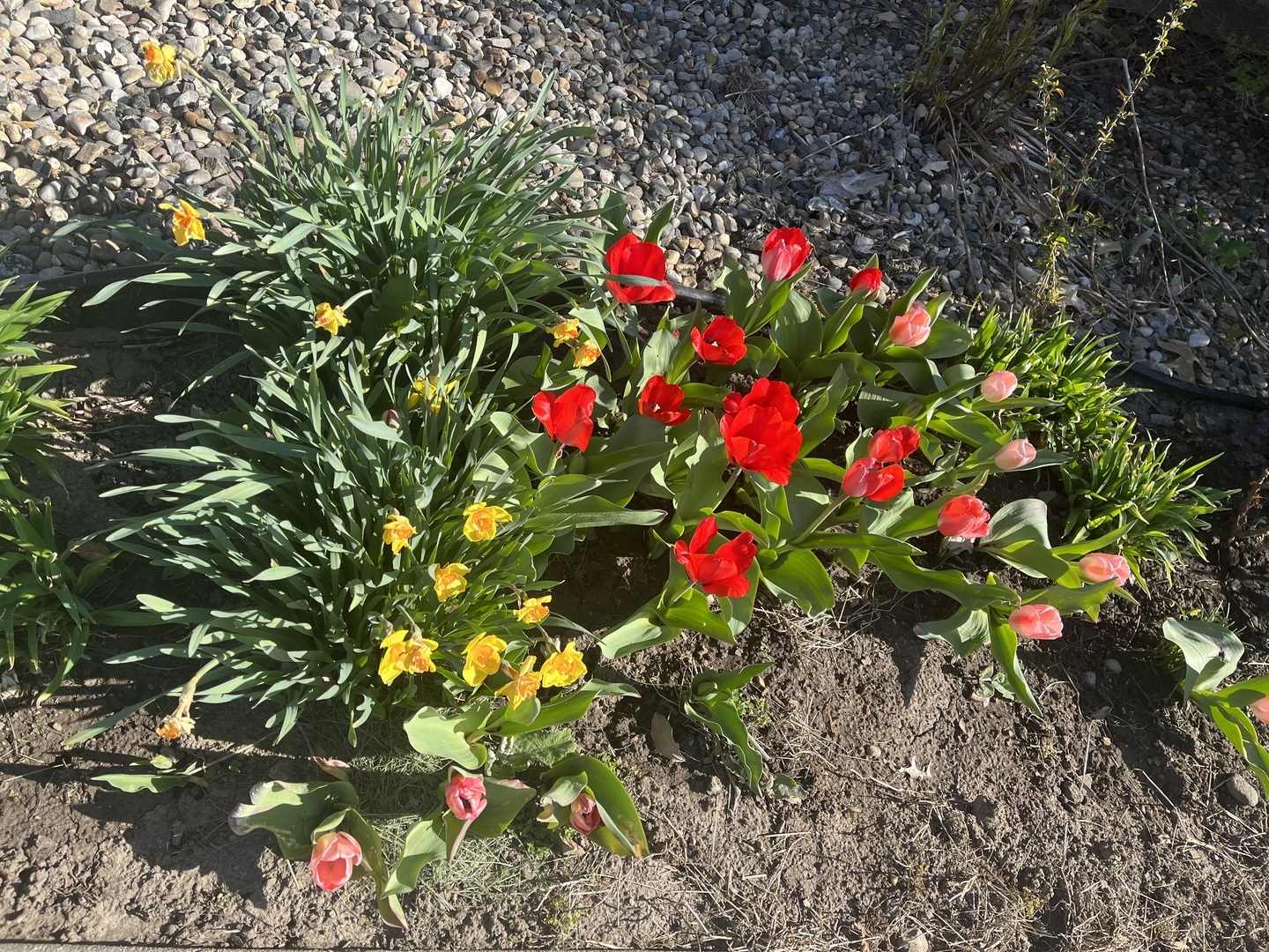 Property photo 46