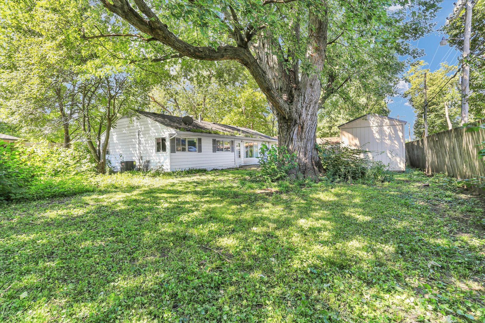 Property photo 19