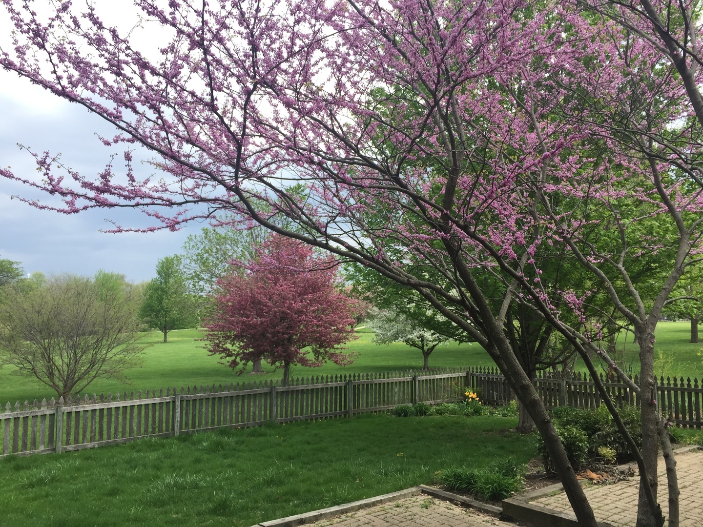 Property photo 47