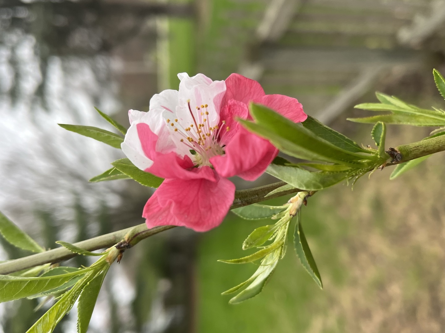 Property photo 45