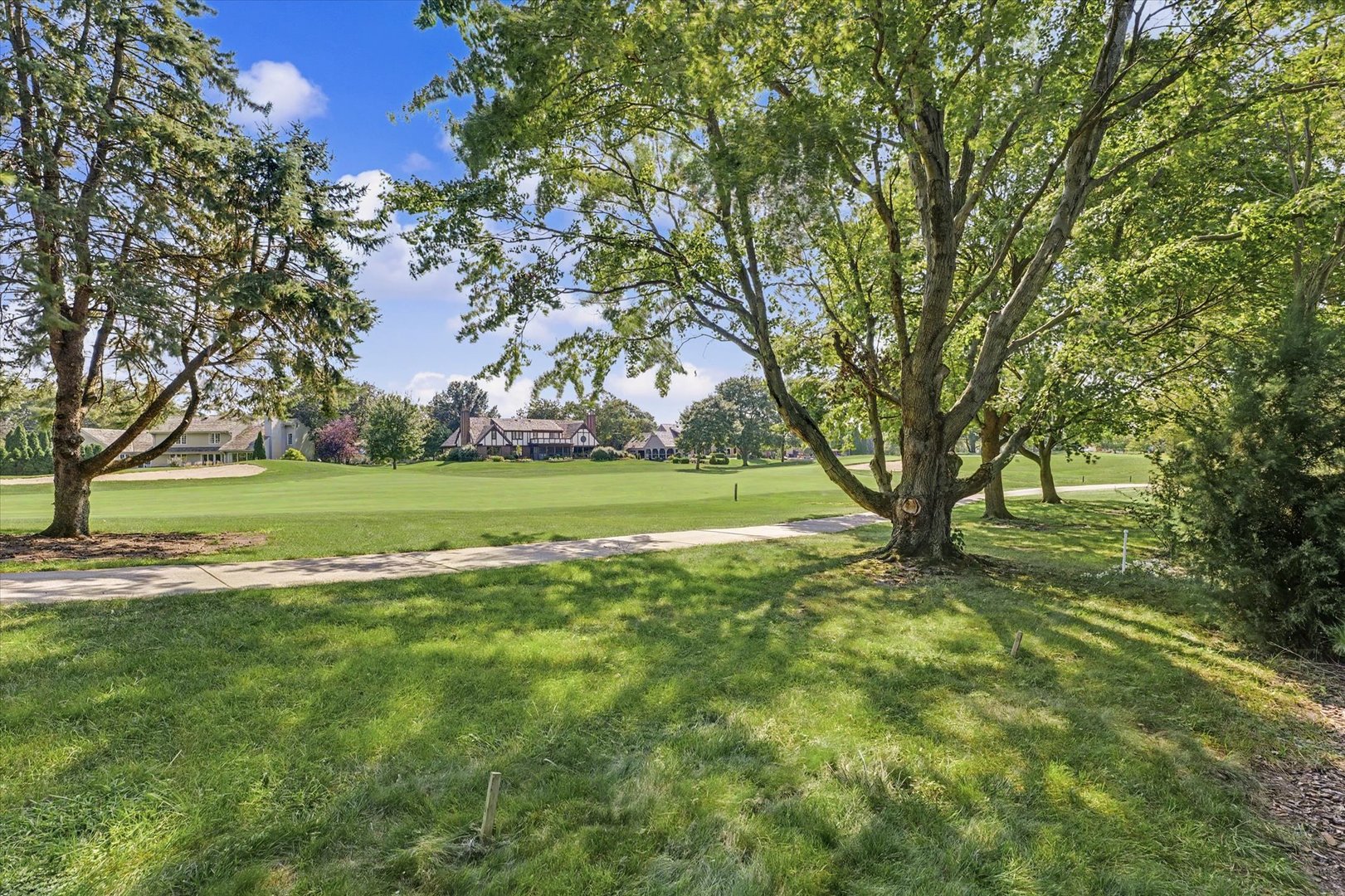 Property photo 59