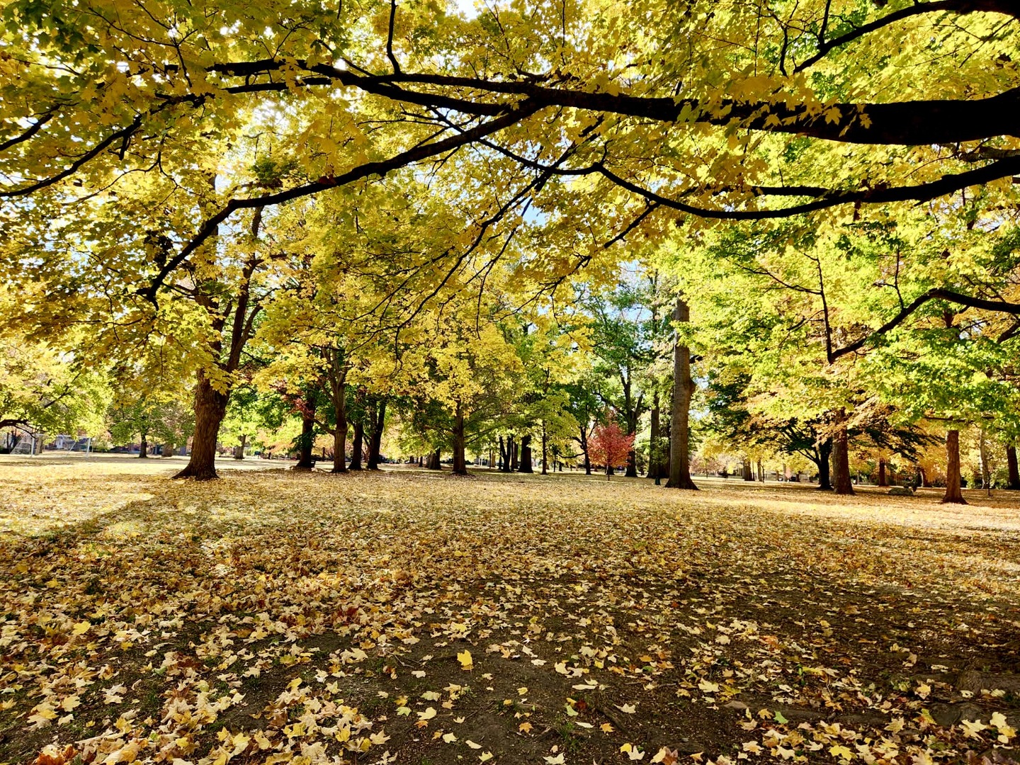 Property photo 43