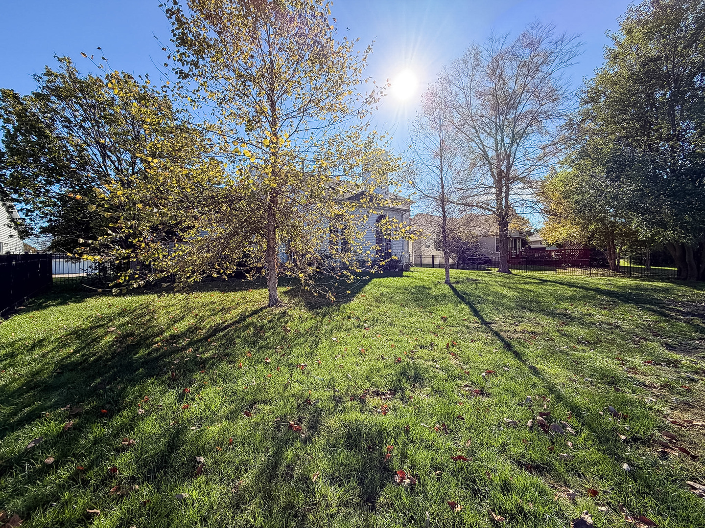 Property photo 57