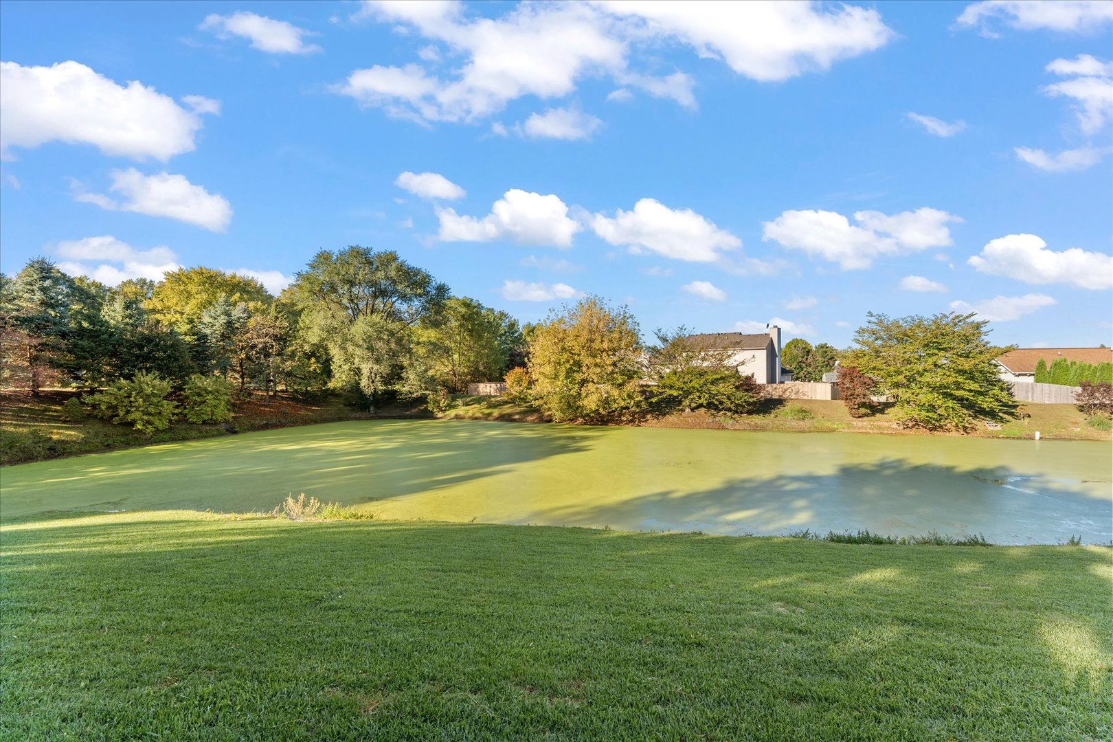 Property photo 41
