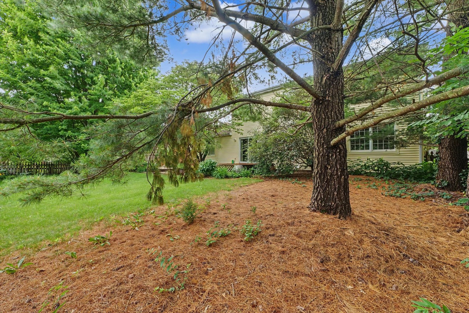Property photo 42