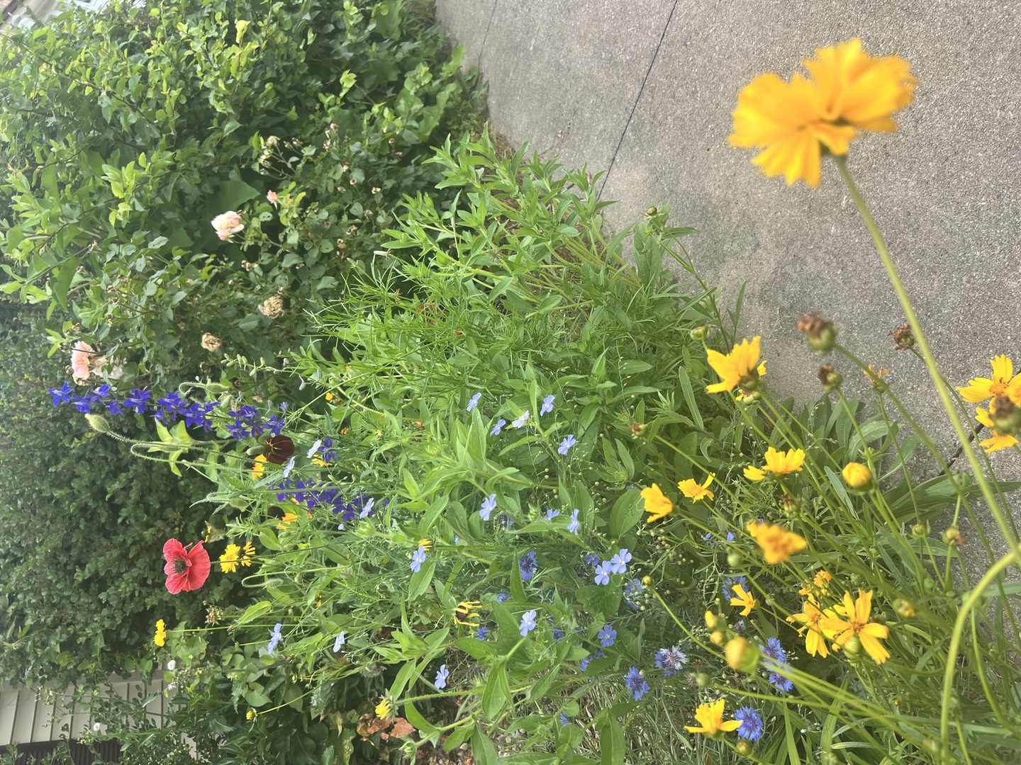 Property photo 53