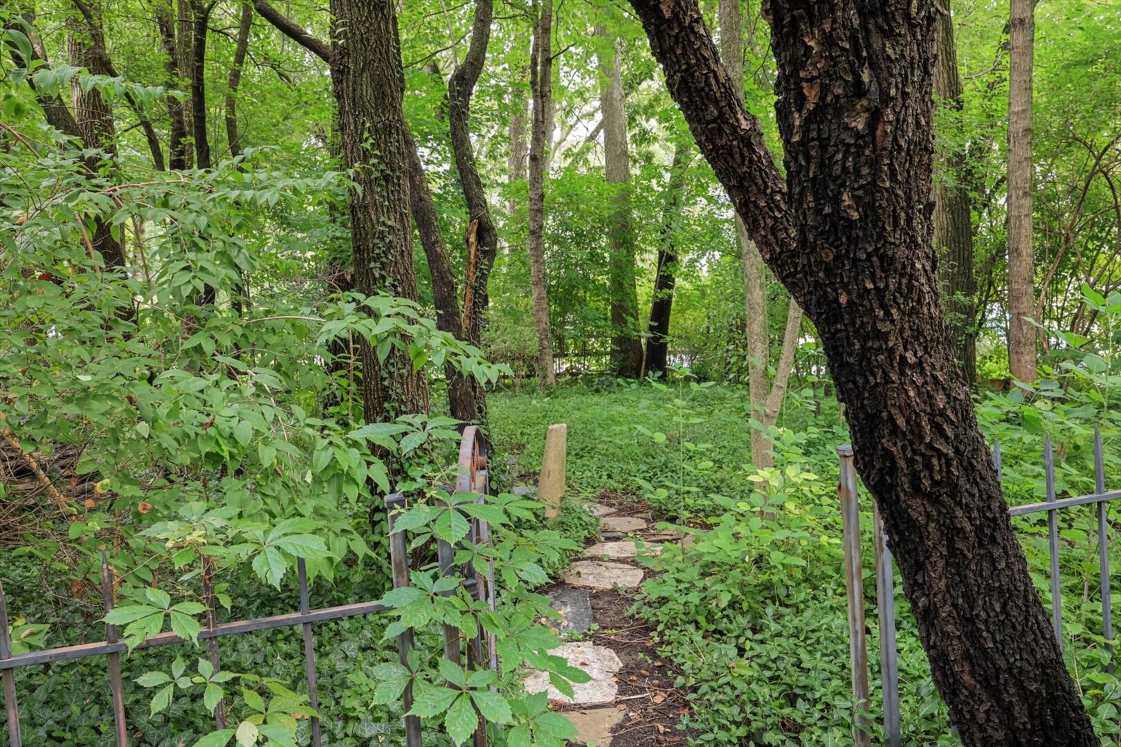 Property photo 64