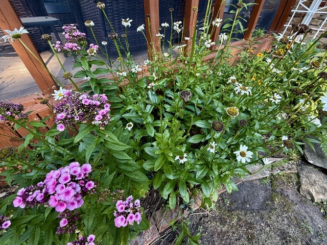 Property photo 73