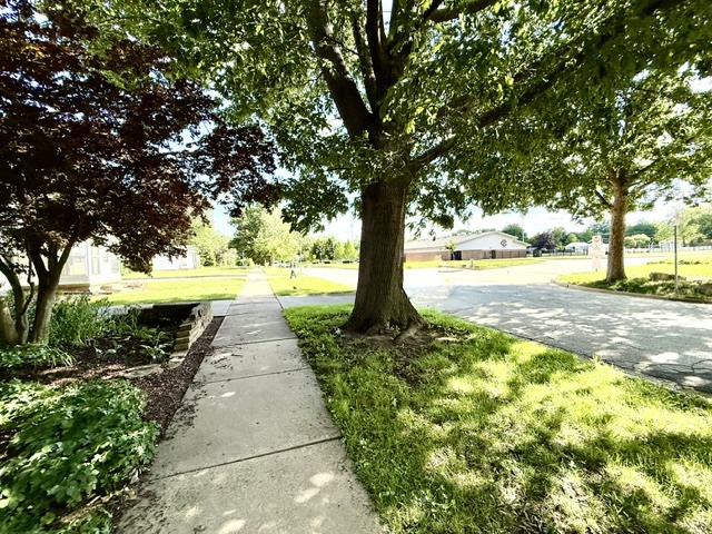 Property photo 66