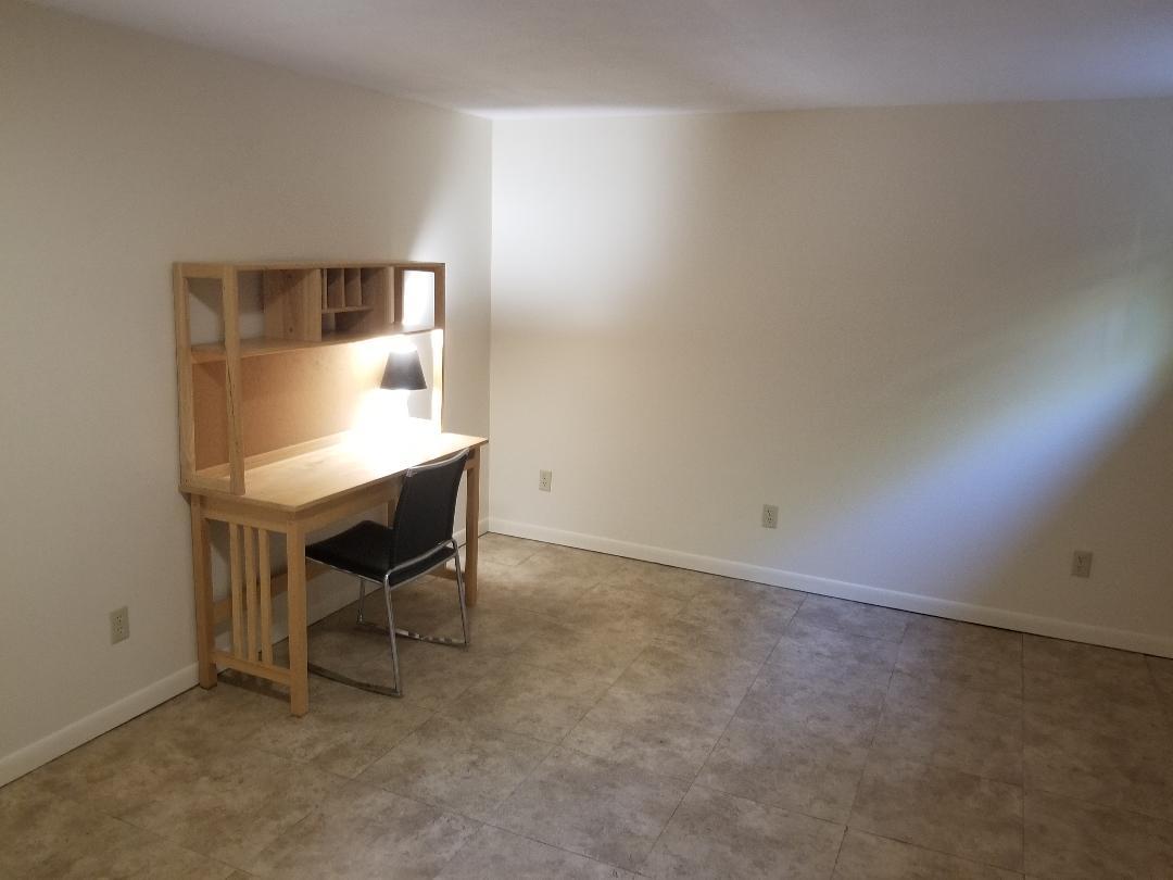 Basement Flex Room