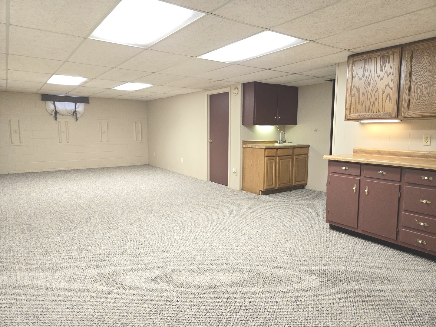 Basement Family Room