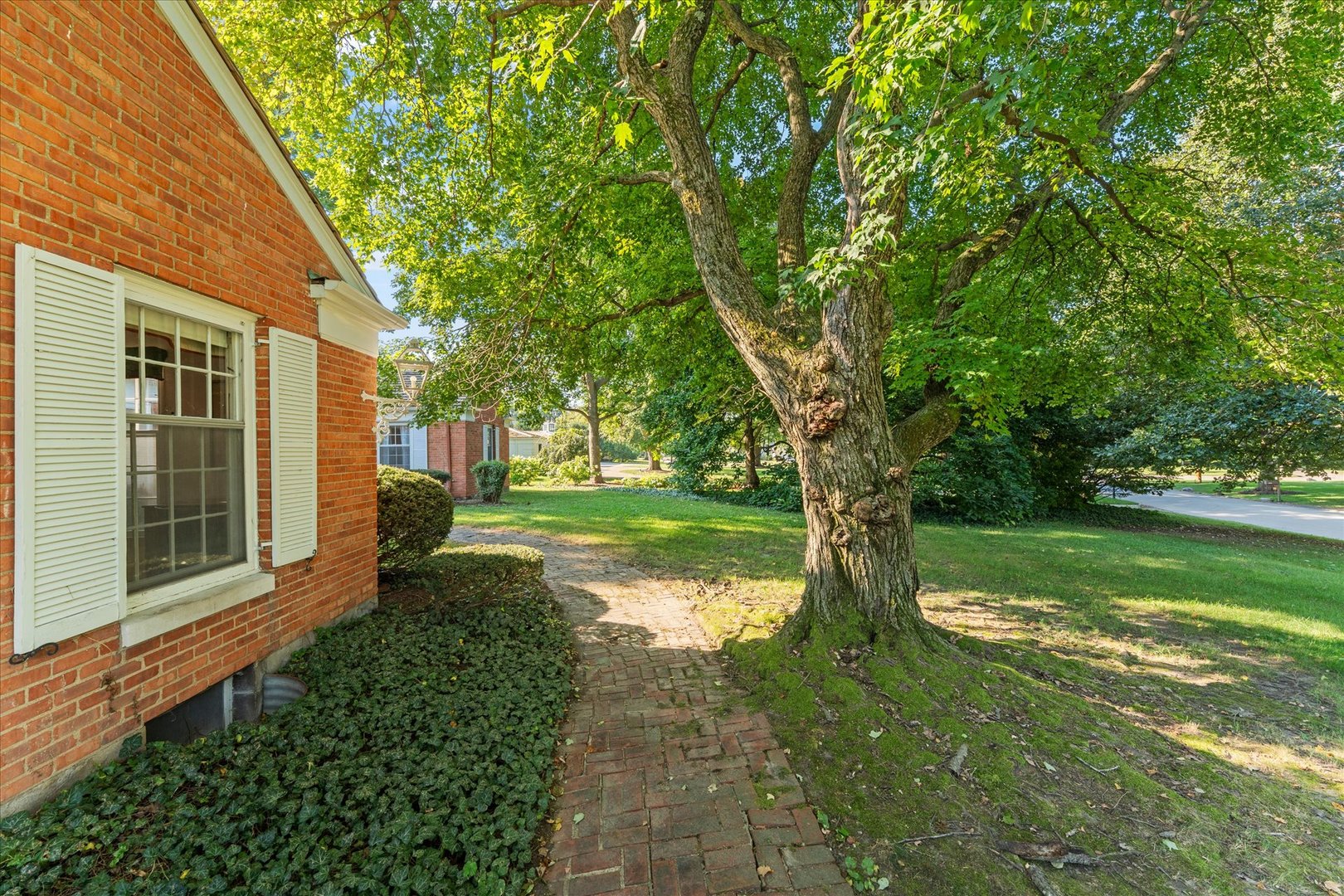 Property photo 59