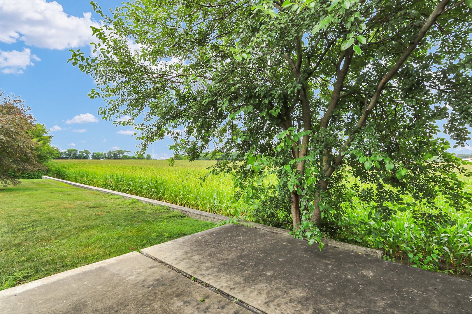 Property photo 42