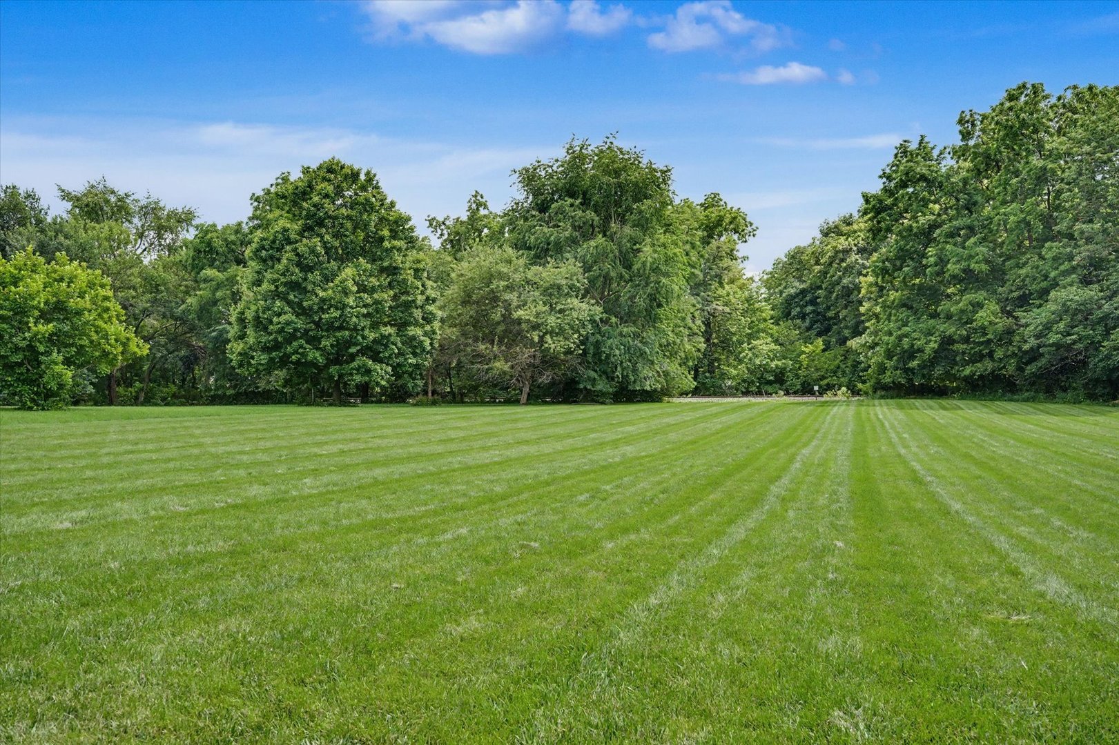 Property photo 98