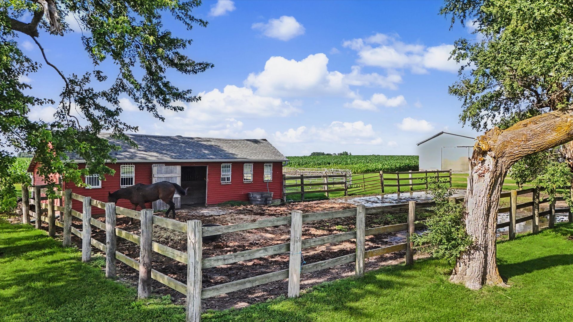Property photo 45