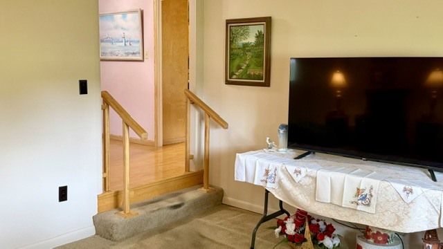 Property photo 44