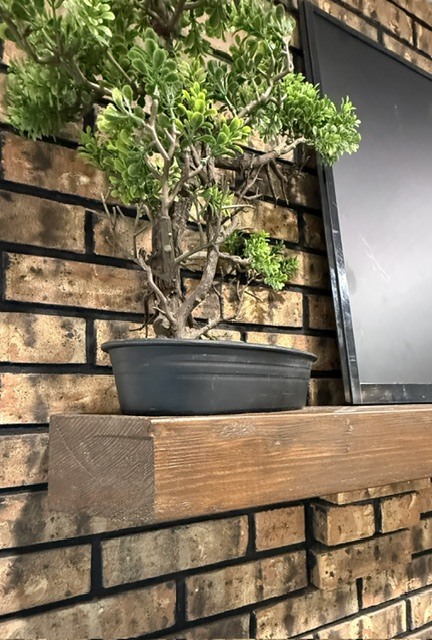 Property photo 51