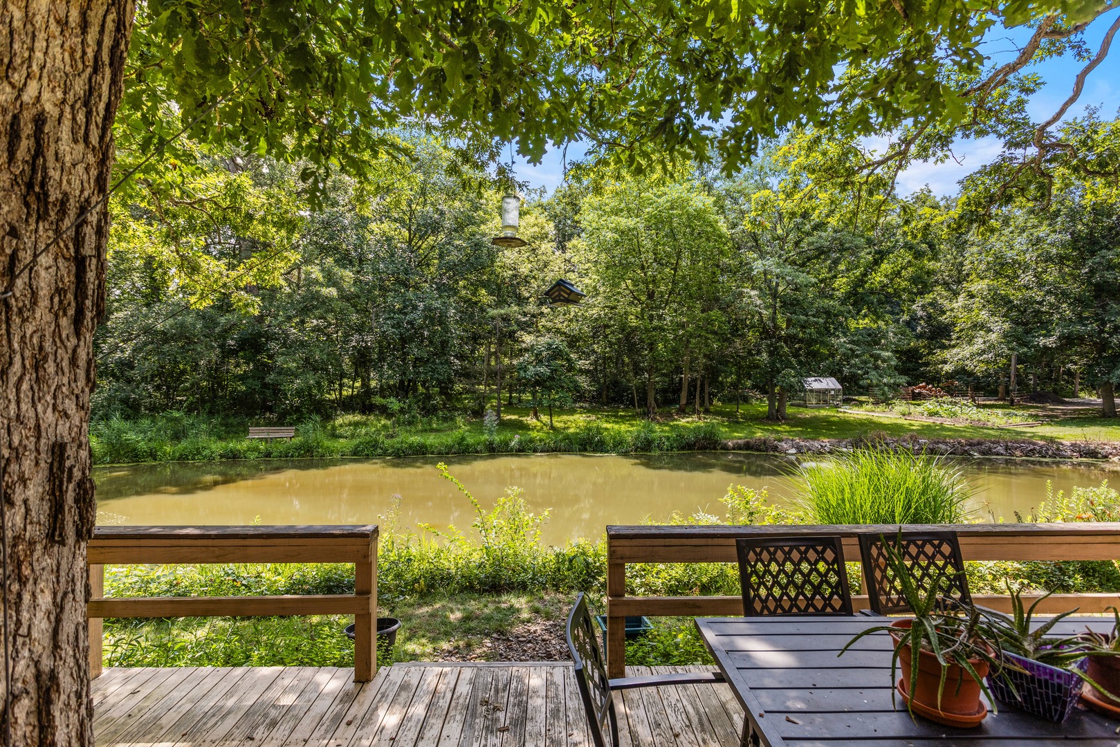 Deck View
