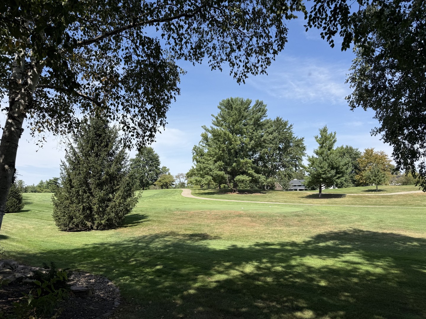 Property photo 46