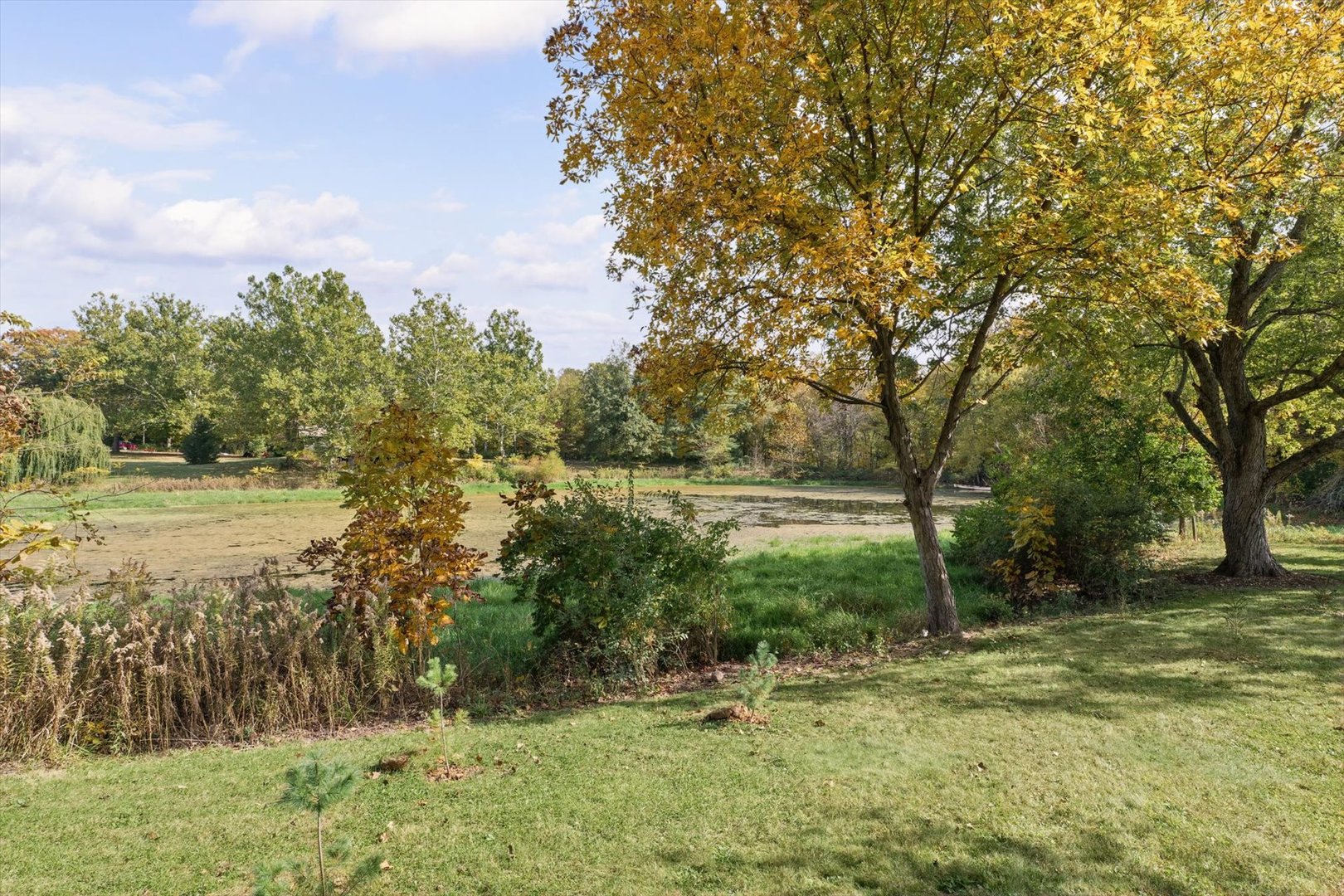 Property photo 41