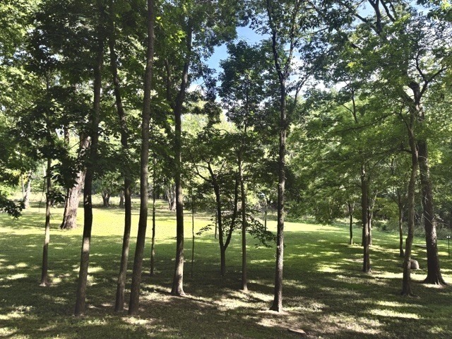 Property photo 144